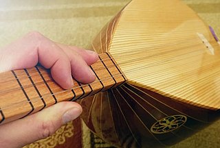 eine Balama und eine Hand