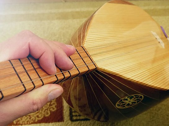 eine Balama und eine Hand